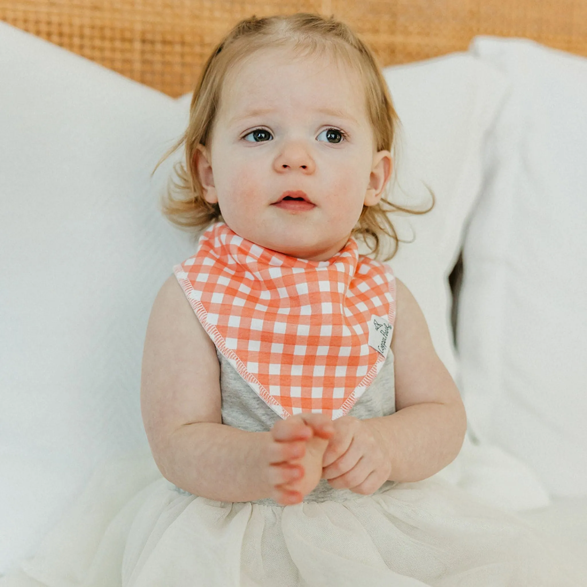 Baby Bandana Bibs - Goosie