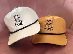 CAT PLAYING WITH SKULL CAP