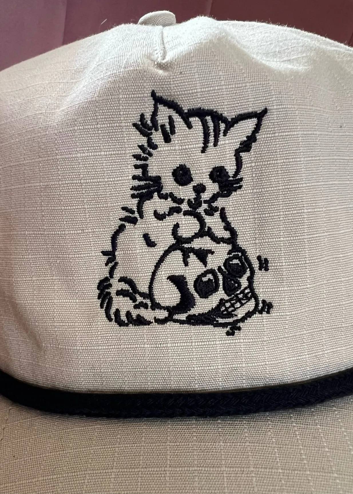 CAT PLAYING WITH SKULL CAP