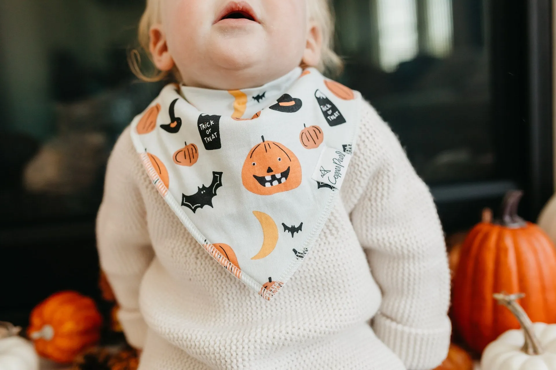Copper Pearl Trick Bandana Bib Set