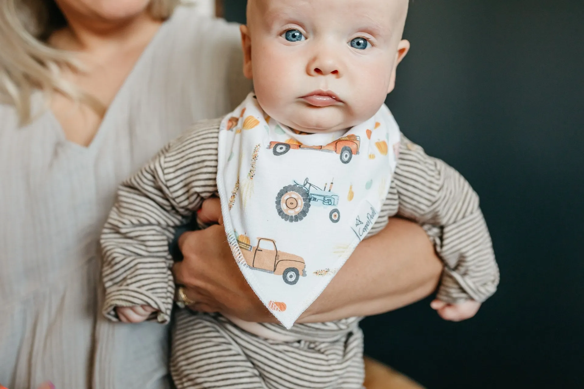 Copper Pearl Trick Bandana Bib Set