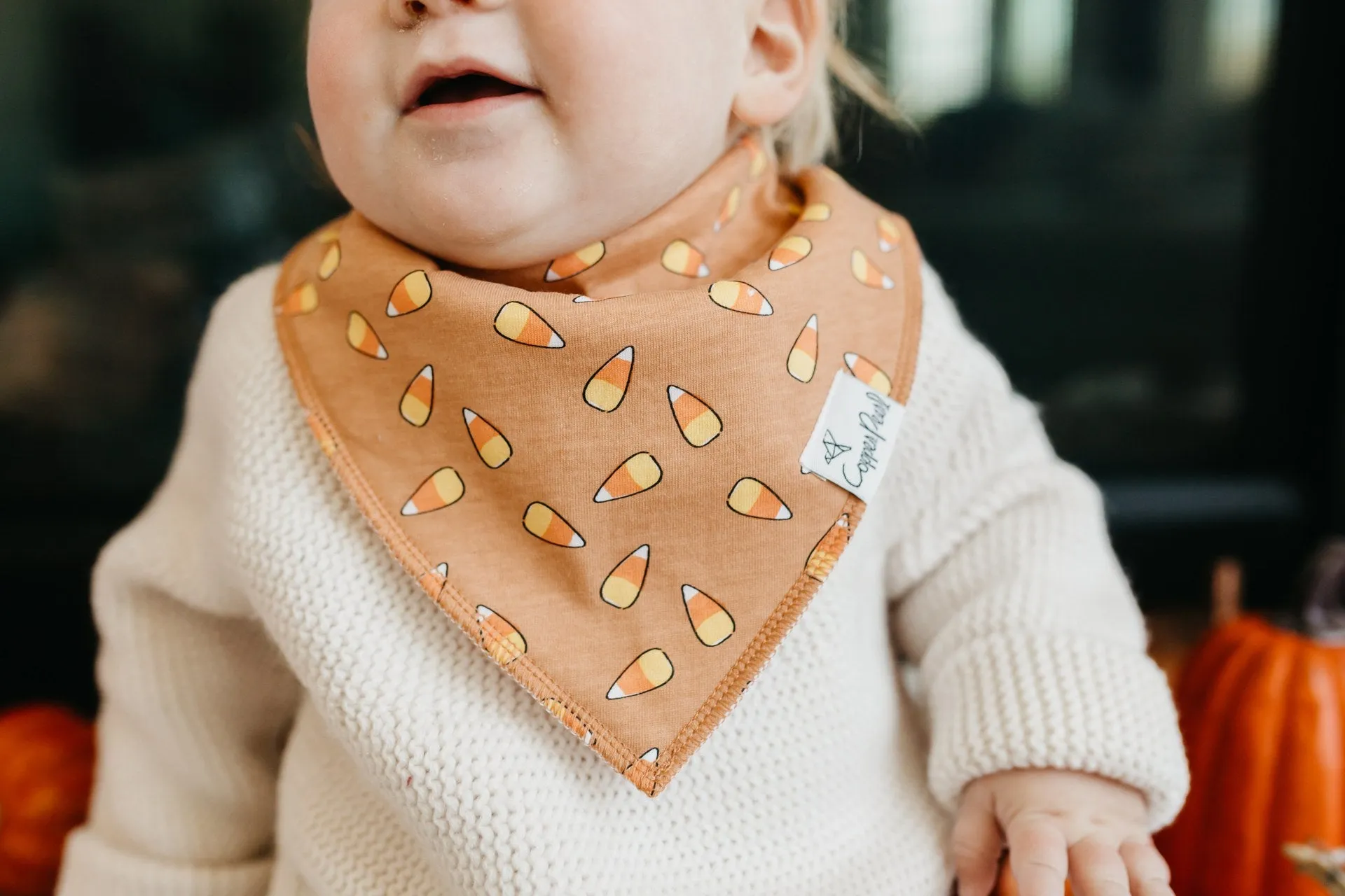 Copper Pearl Trick Bandana Bib Set