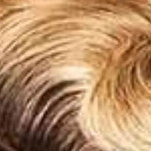 Outre 100% Human Hair Premium Duby Diamond Wig - BRYNNE