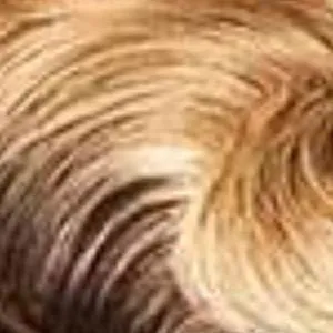 Outre 100% Human Hair Premium Duby Diamond Wig - CRISSA