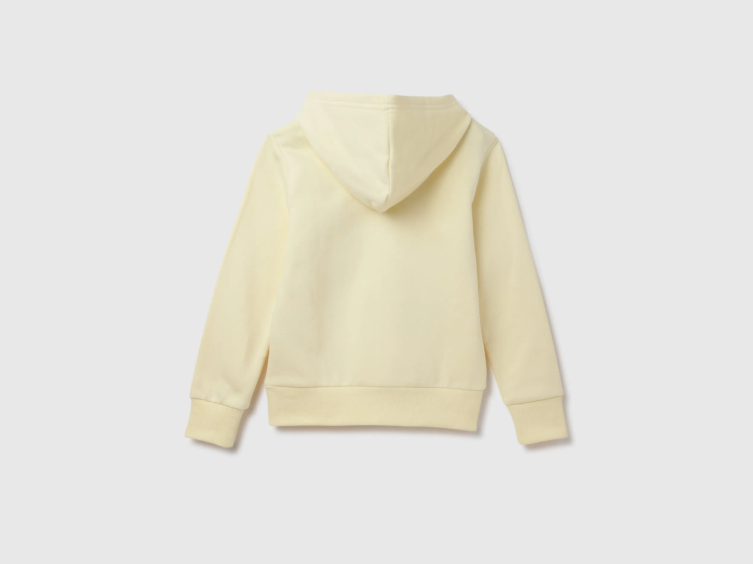 Regular Fit Hood Printed Sweatshirt