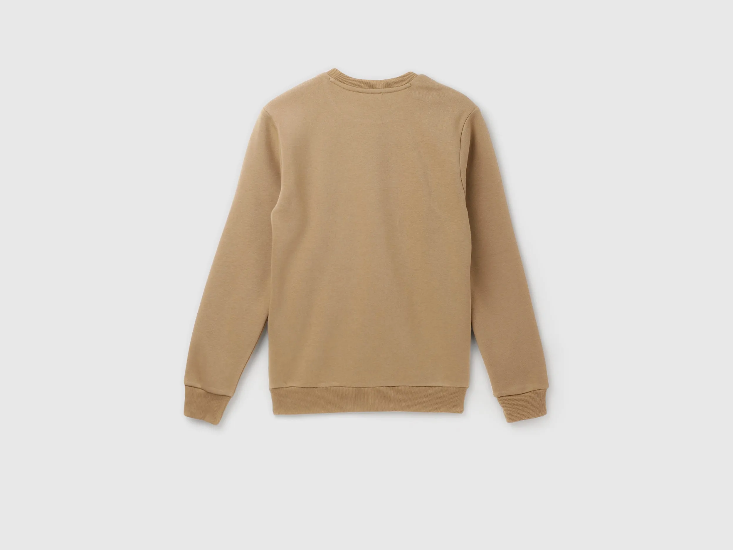 Regular Fit Round Neck Graphic Sweatshirt