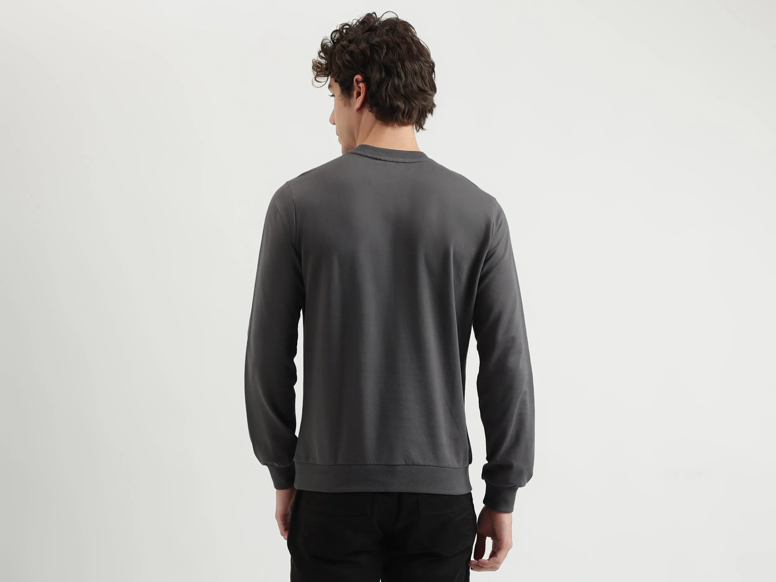 Regular Fit Round Neck Printed Pattern Sweatshirt