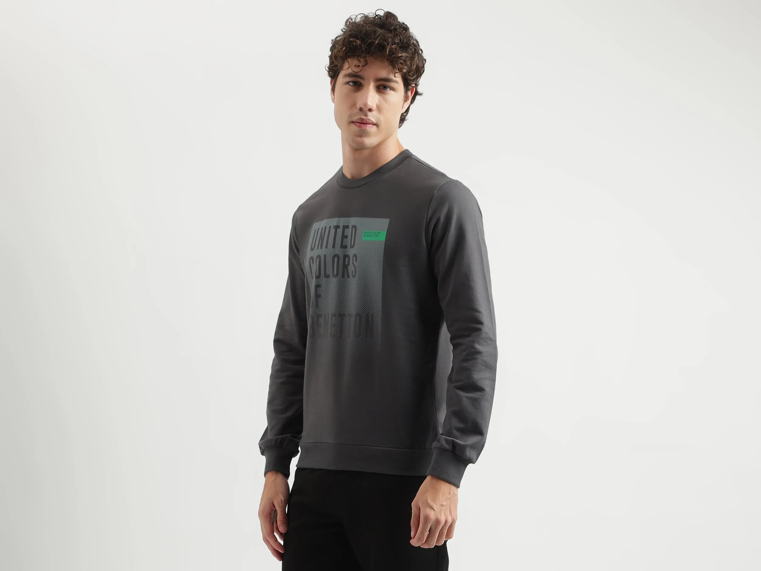 Regular Fit Round Neck Printed Pattern Sweatshirt