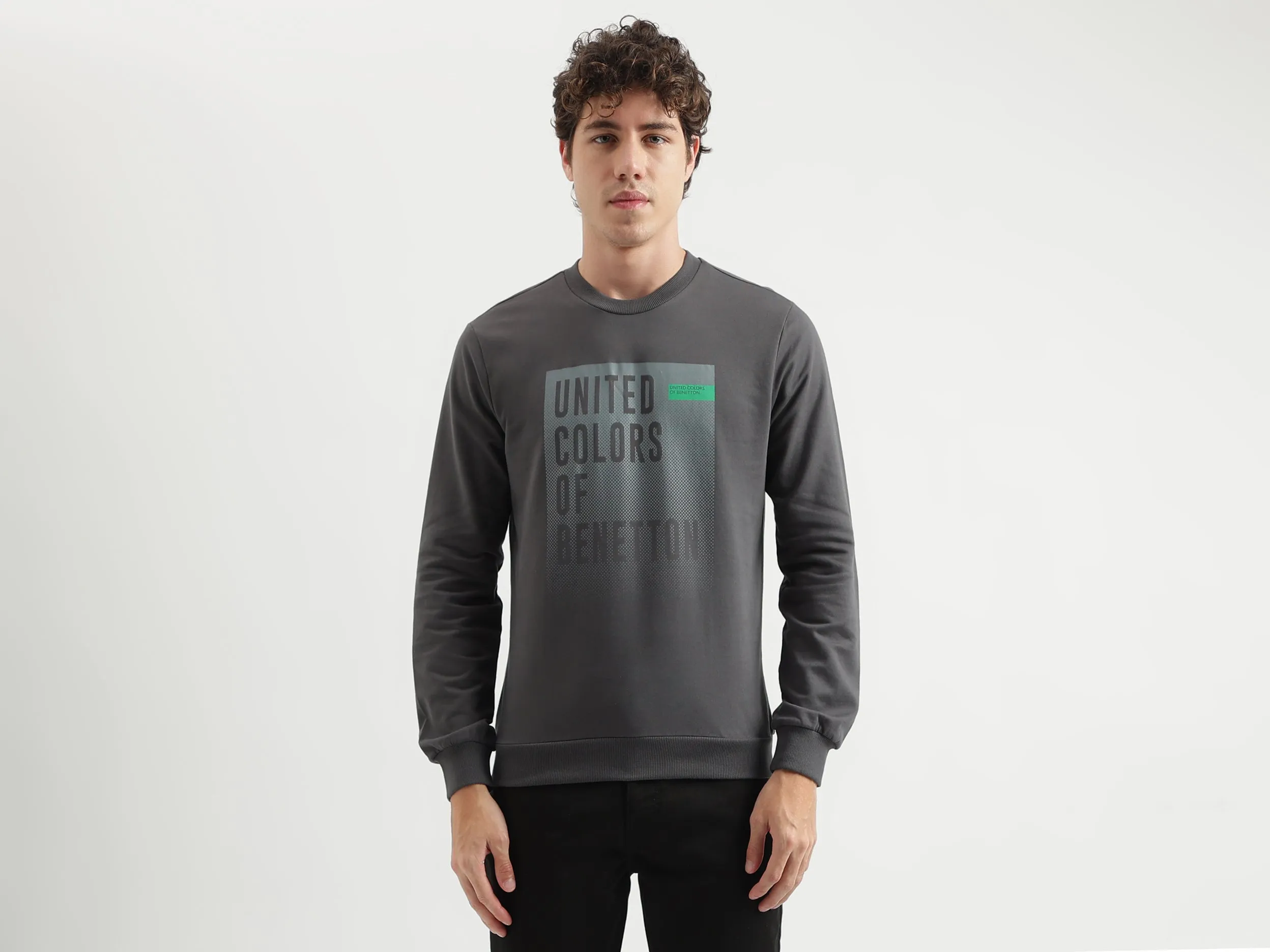 Regular Fit Round Neck Printed Pattern Sweatshirt