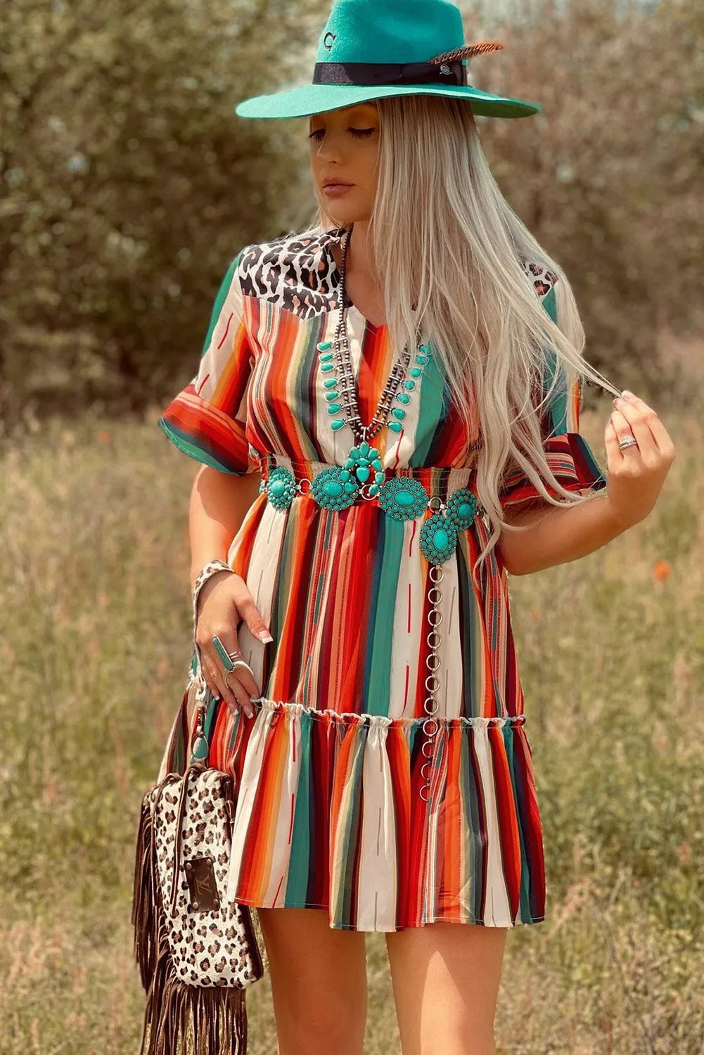 Serape Striped Leopard Mini Dress