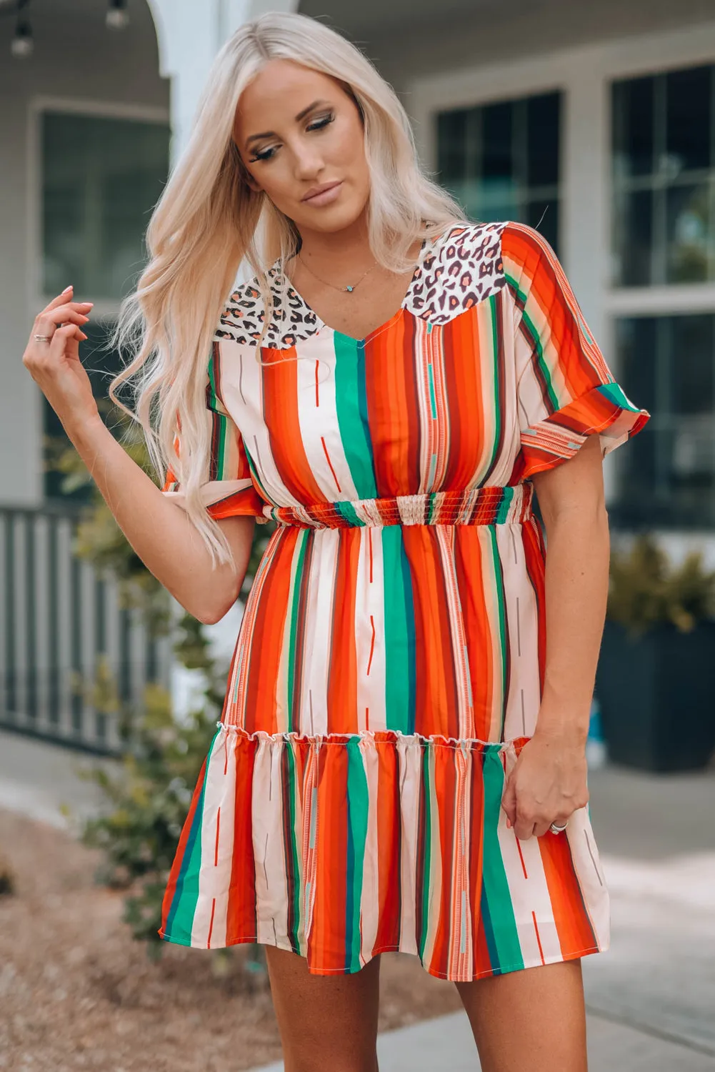 Serape Striped Leopard Mini Dress