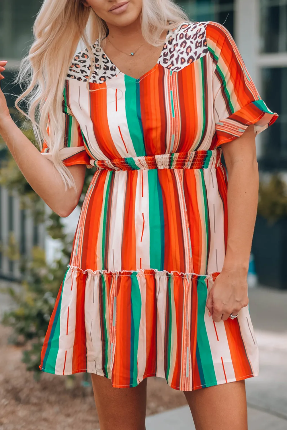 Serape Striped Leopard Mini Dress