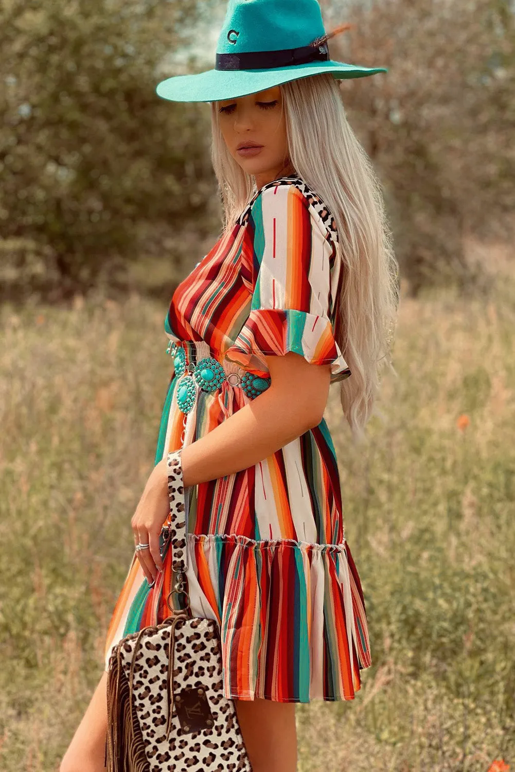 Serape Striped Leopard Mini Dress