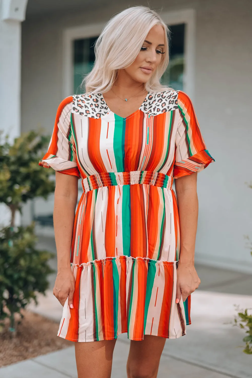 Serape Striped Leopard Mini Dress