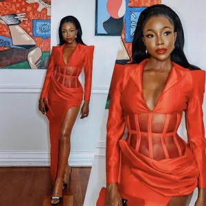 V Neck Long Sleeve Mesh Dress KLYF586